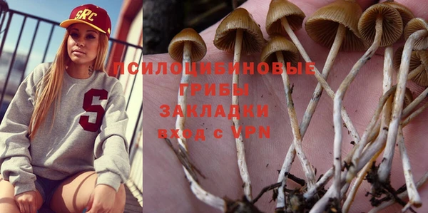 прущая мука Бронницы
