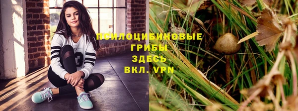 прущая мука Бронницы