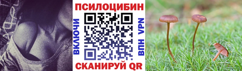 Купить закладки  Никольское  Галлюциногенные грибы мицелий 